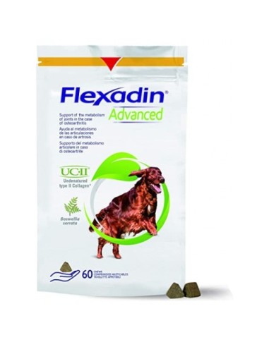 FLEXADIN ADVANCE 60 CPD